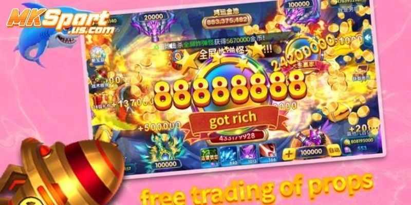 Chia sẻ kinh nghiệm thực tiễn từ các chuyên gia