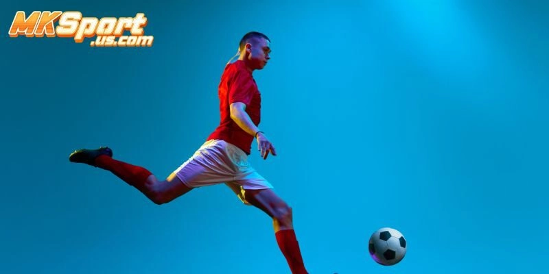 Giới Thiệu Về Dịch Vụ Thể Thao Tại Mksport